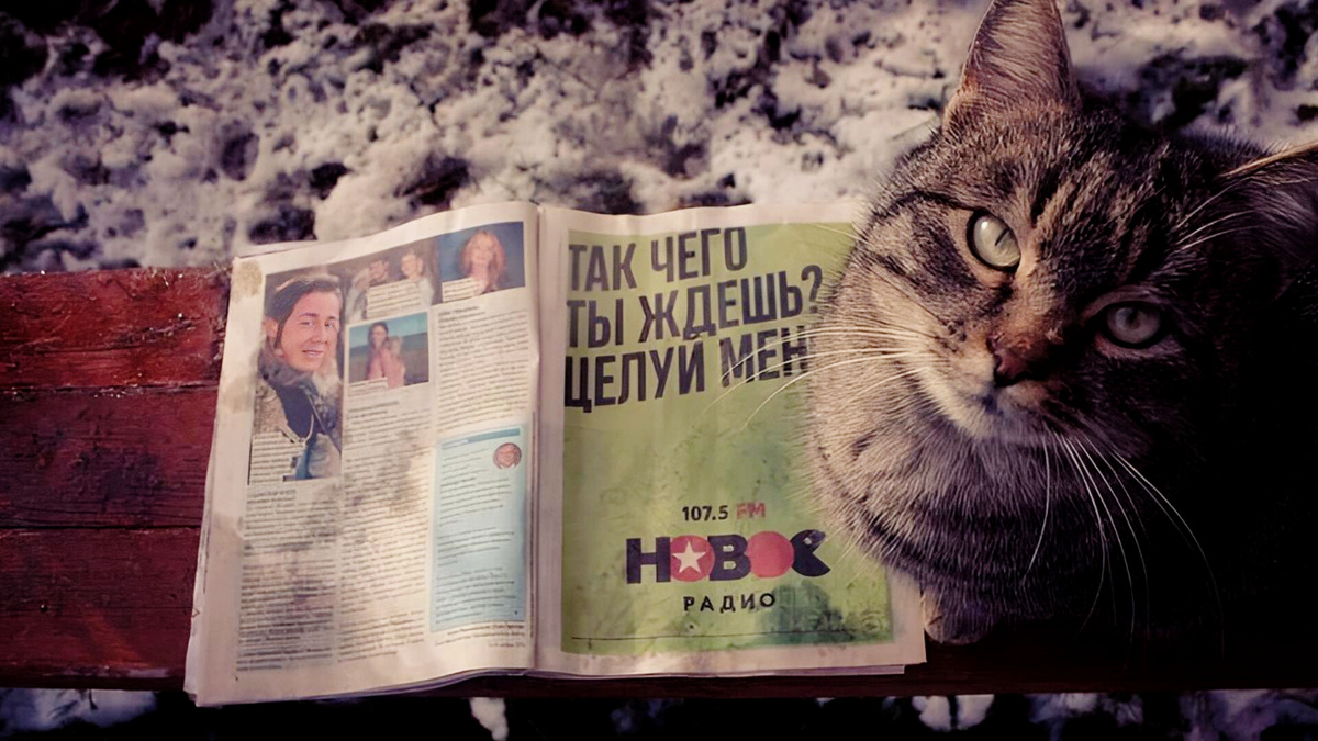 Если вам нужен был знак от кота - вот он! 