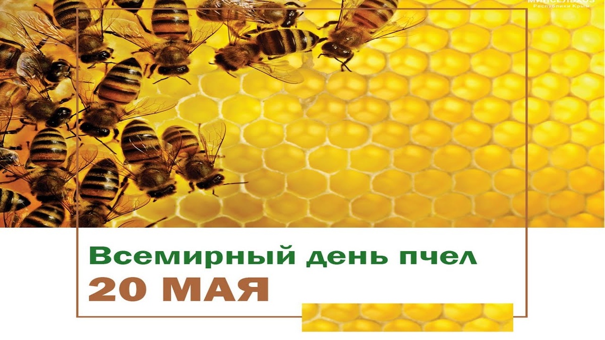 "Всемирный день пчел"