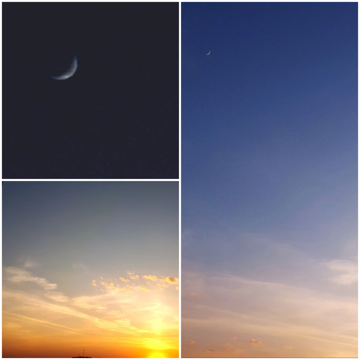 Коллаж автора 20.05.2026г.