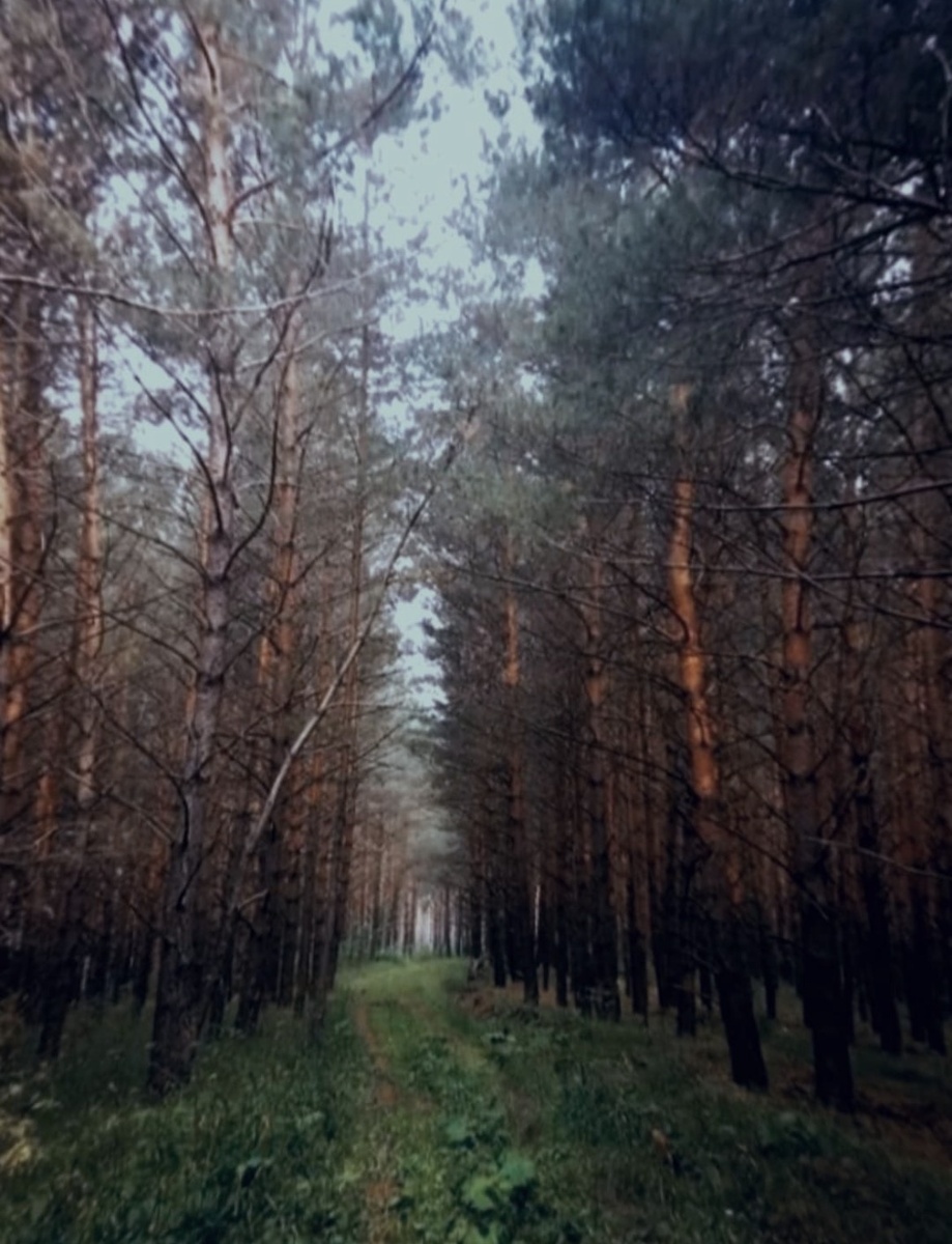 Фото из личного архива 
