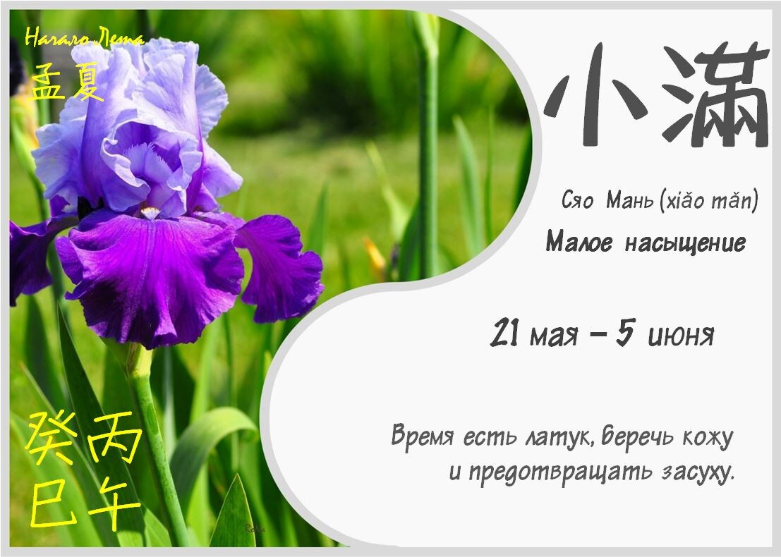 Ирисы. 24 сезона - Сяо Мань