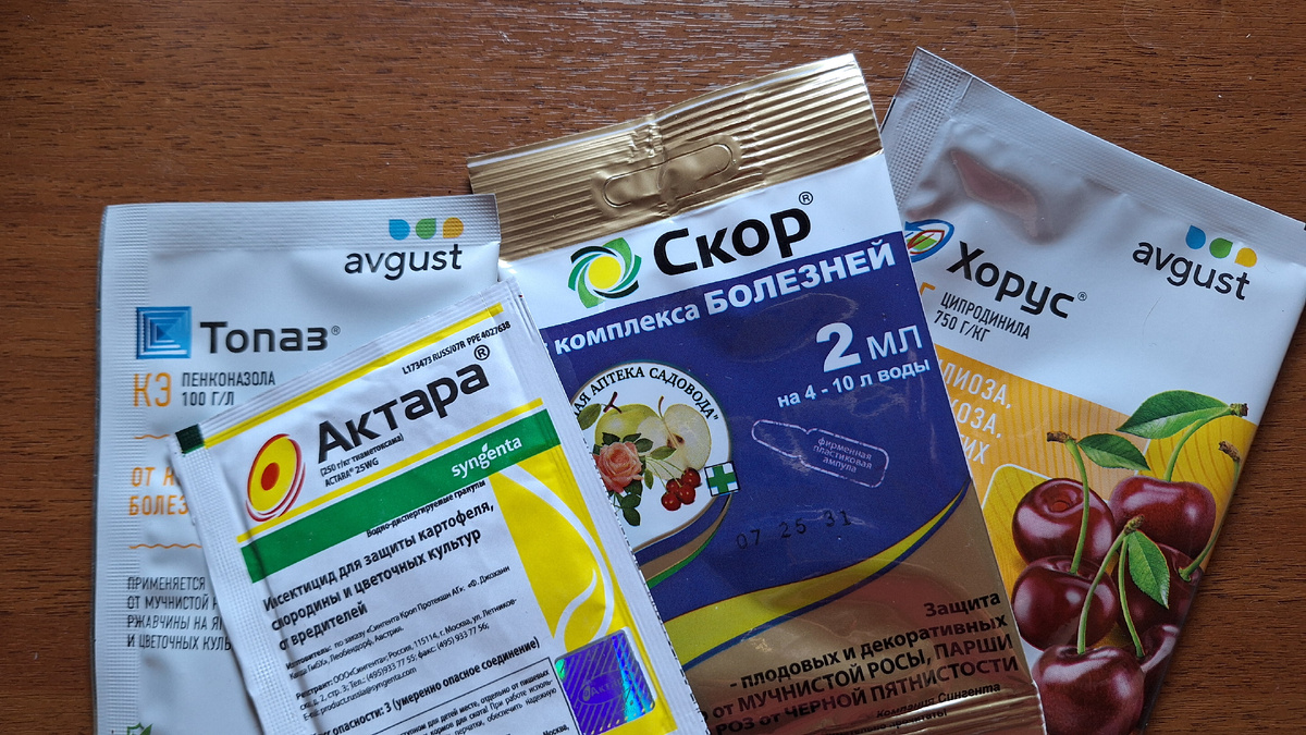 Фото автора. Препараты для обработки плодового сада