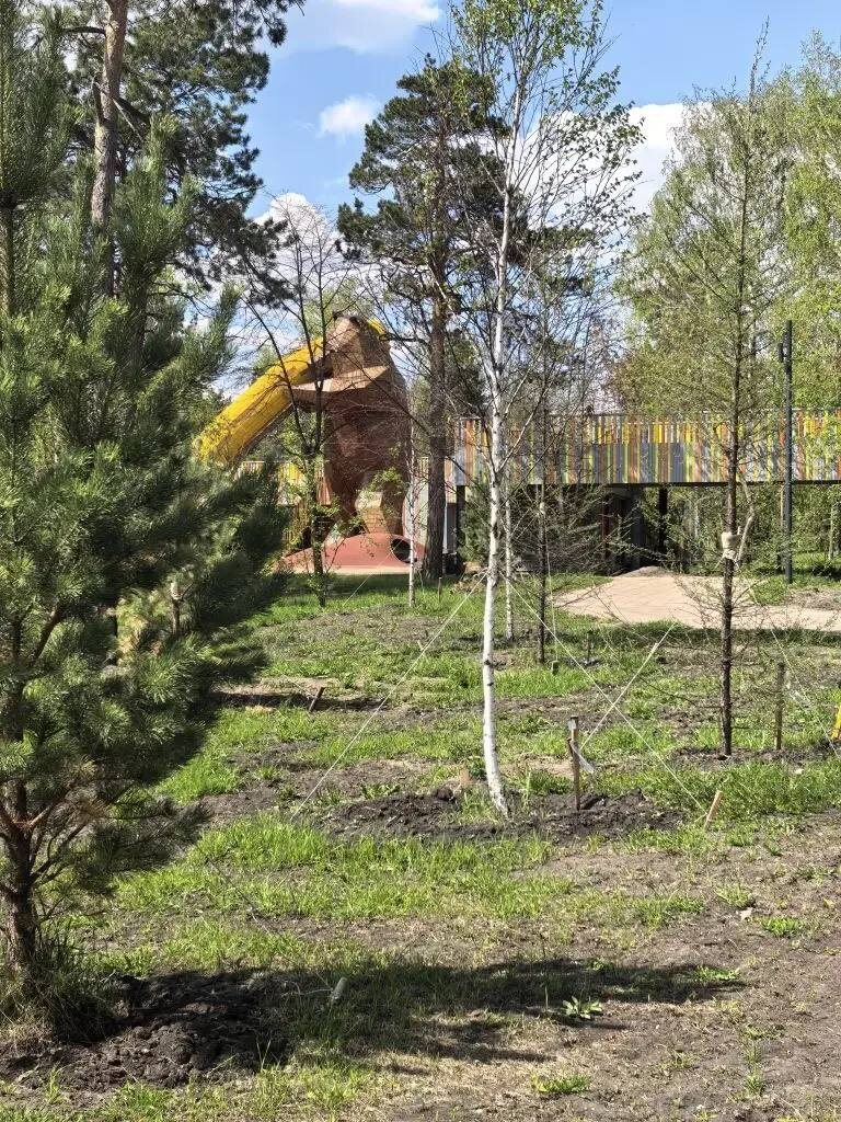    Фото: РУСАЛ