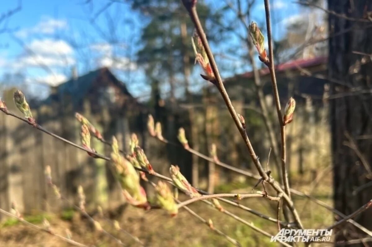    В Татарстан пришел прохладный антициклон