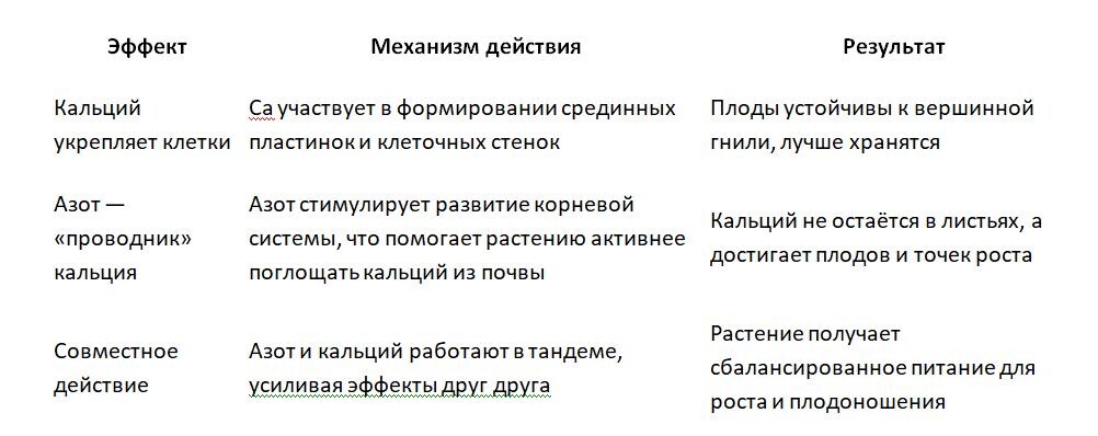 Таблица и фото Натальи Мироновой