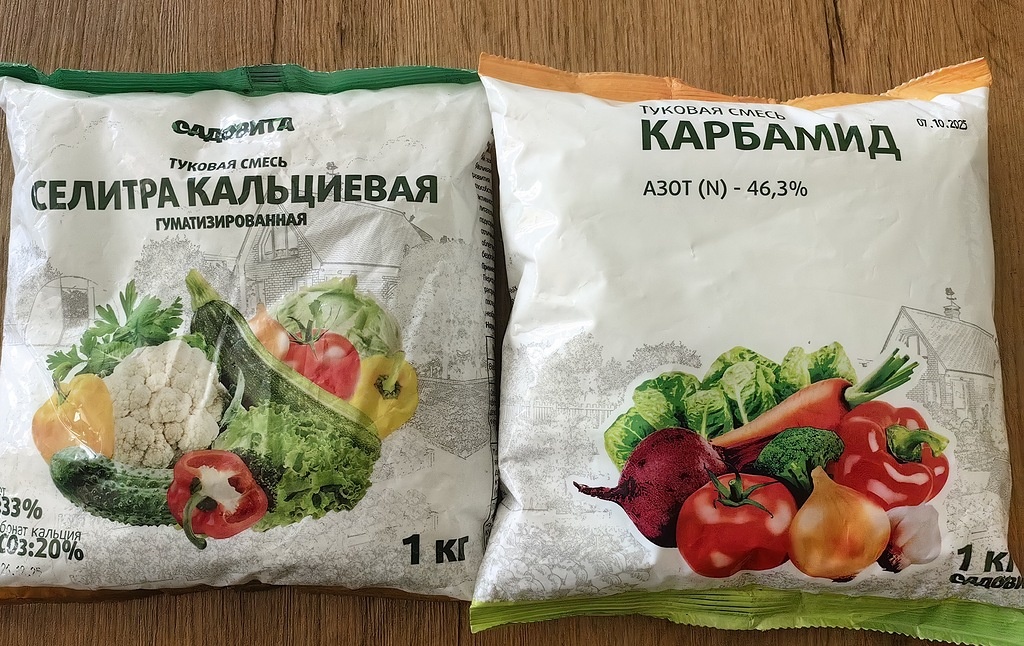 Фото Натальи Мироновой
