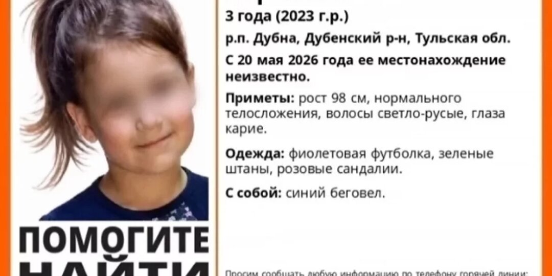 В Тульской области пропала трёхлетняя девочка Вероника