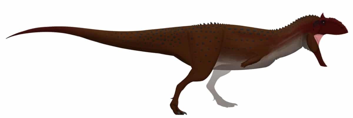    Майюнгазавр Majungasaurus — теропод с самыми маленькими передними лапами относительно размеров тела / © Primeval Artist / Wikimedia Commons