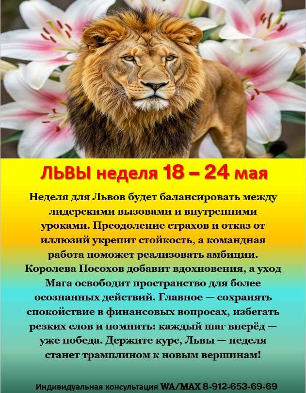 картинка принадлежит автору канала
