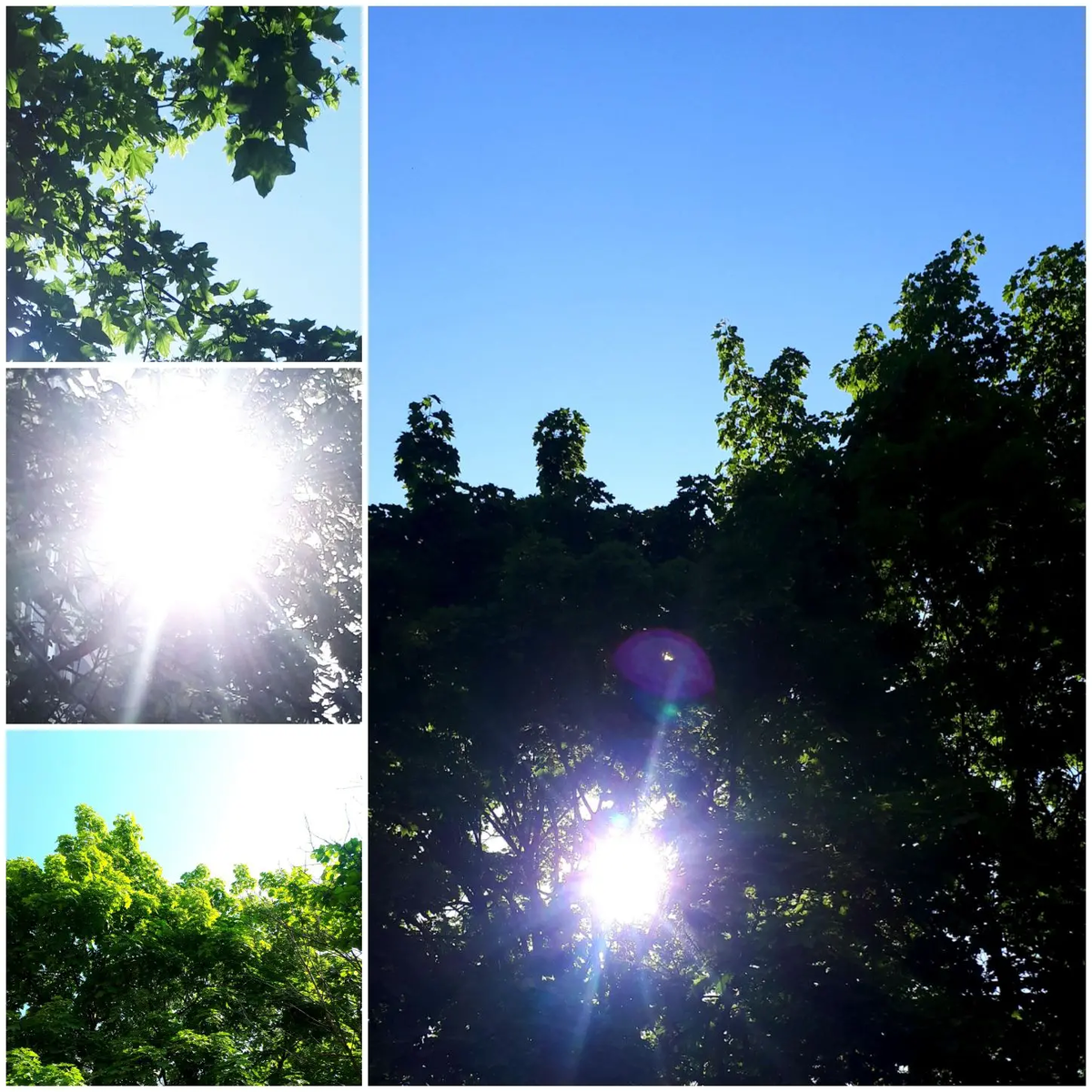 Коллаж автора статьи 21.05.2026г.