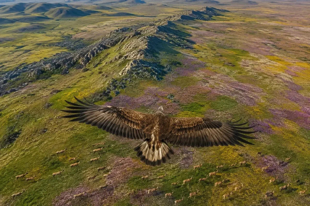    © АТРЭ