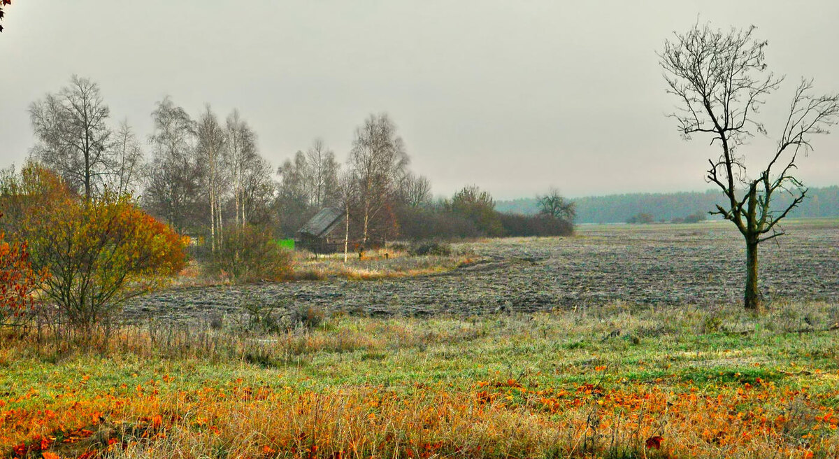 Яндекс.Картинки