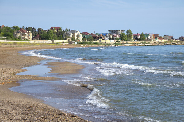 shushonok/Shutterstock/FOTODOM   📷