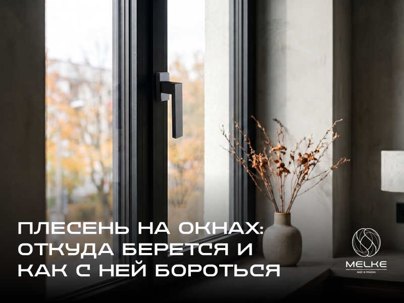 Для появления плесени достаточно трёх факторов: влага, холод и слабая вентиляция.