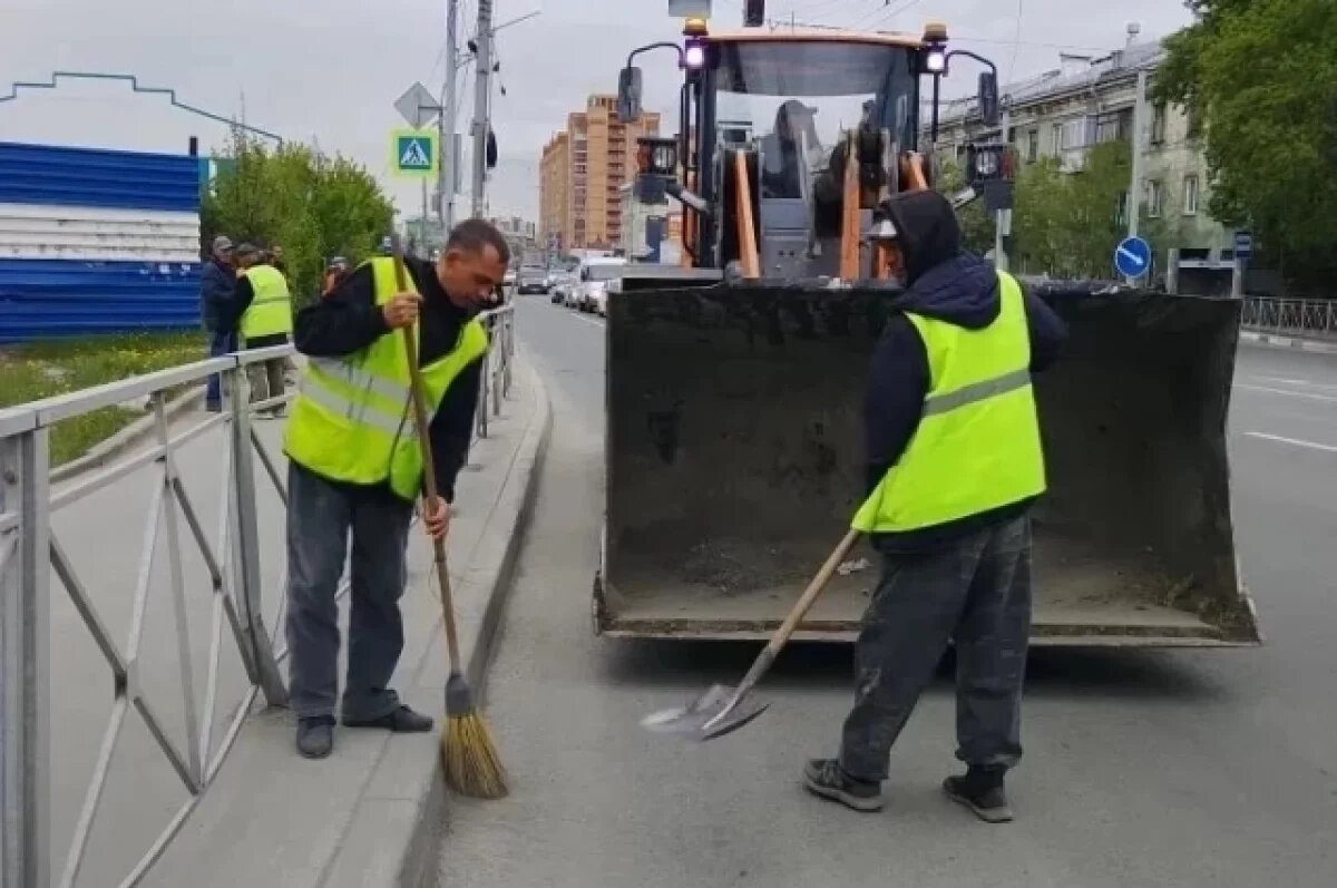    В Новосибирске за сутки с улиц вывезли более 300 кубометров отходов