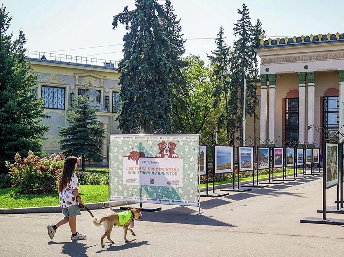    Выставка — пристройство животных из приютов на ВДНХ | © Фото : Пресс-служба комплекса городского хозяйства Москвы