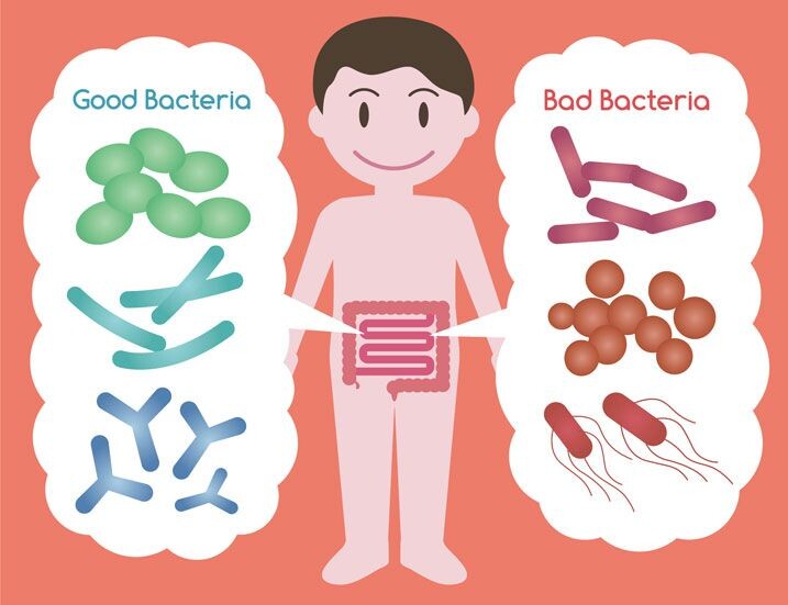Изображение https://sciencemeetsfood.org/