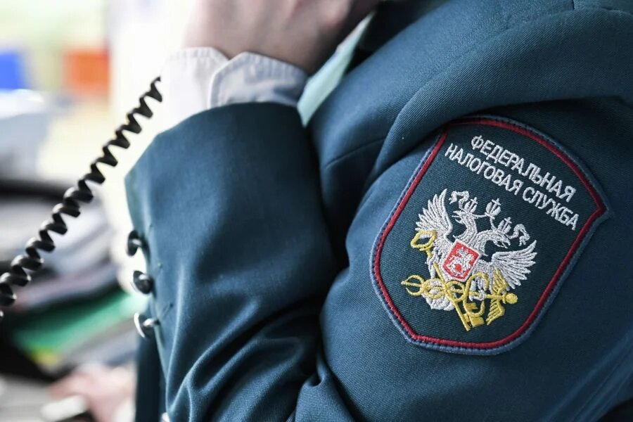    Фото: Константин Михальчевский/РИА Новости