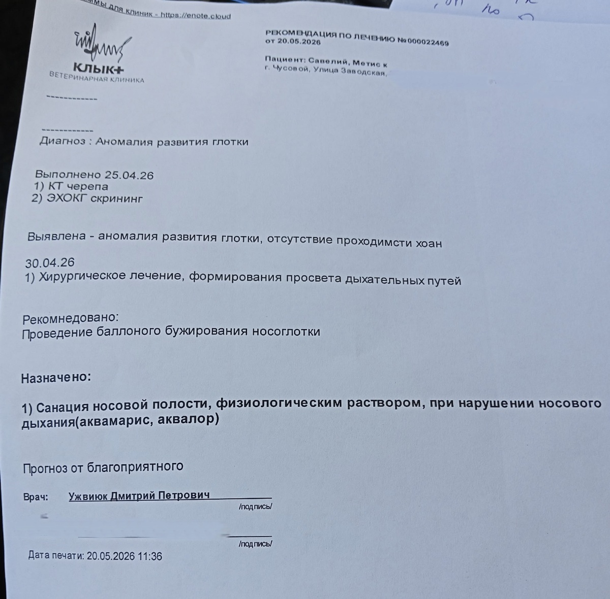 заключение из клиники 