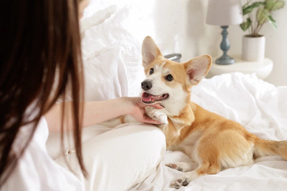Фото: Shutterstock