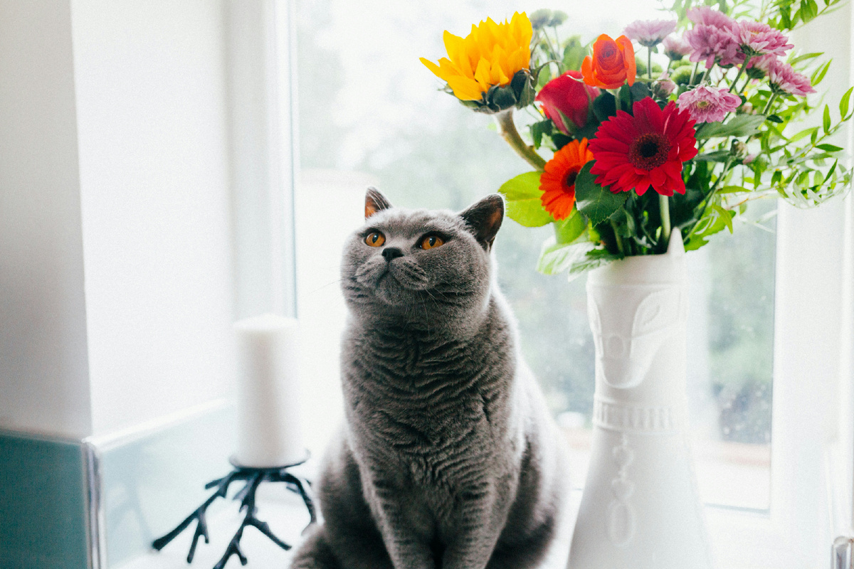 Photo by Look Again Digital on Unsplash