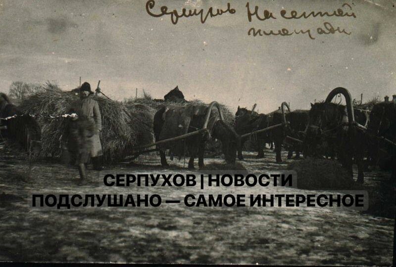 🦚 О Серпухове в 13:39