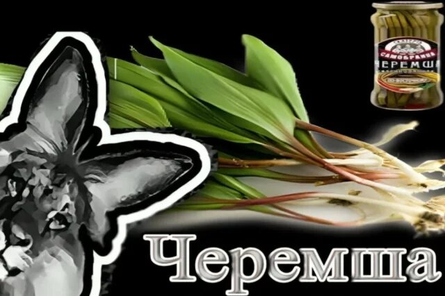    Что за мем «черемша»?