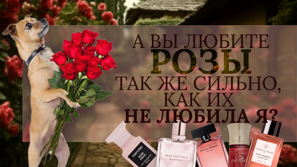Полюбила ароматы с розой
