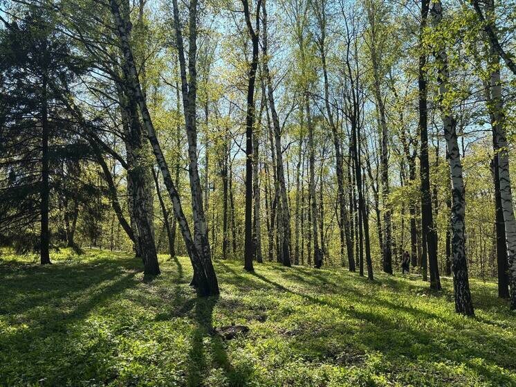     Фото: «МК в Самаре»