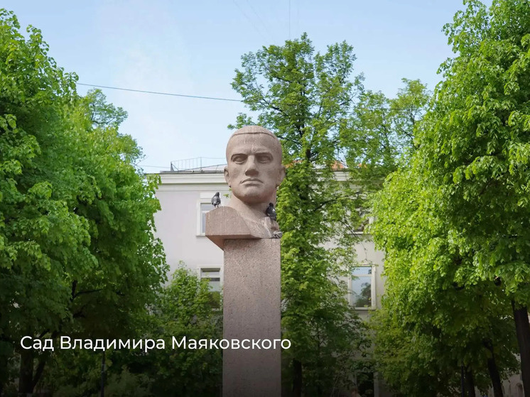     Теперь эта зона называется сад Владимира Маяковского. Фото: пресс-служба Комитета по благоустройству Петербурга.