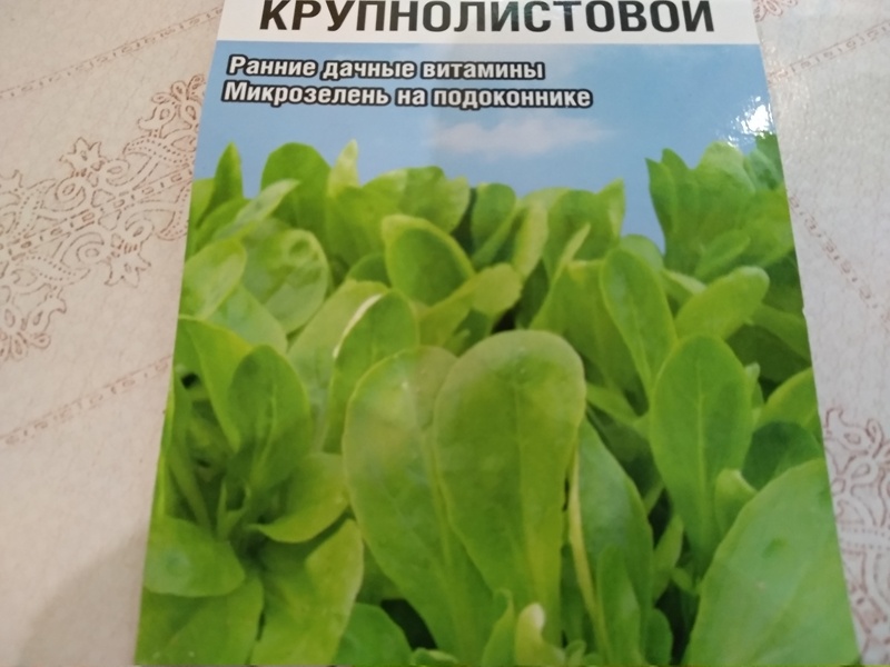 Так выглядит кресс-салат на упаковке с семенами