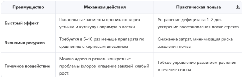 Три ключевых преимущества листовой подкормки для огурцов
