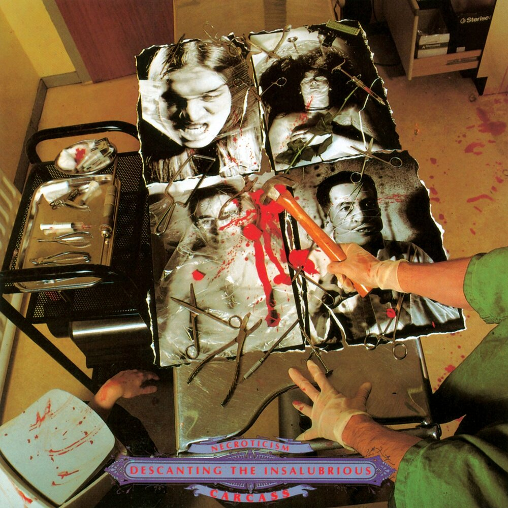 Обложка LP «Necroticism – Descanting the Insalubrious» 
