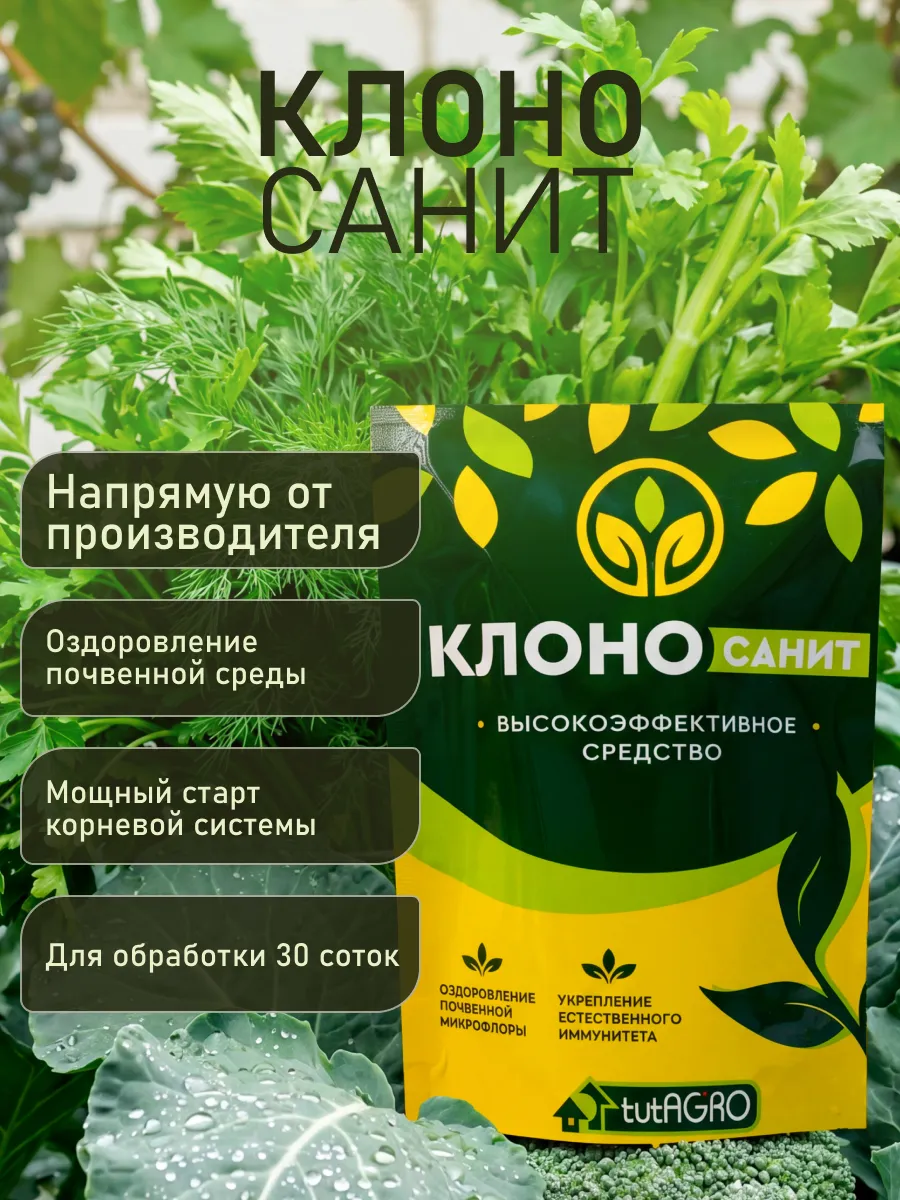 Клоносанит - очень удобная форма Клоностахиса для использования в саду и в огороде.