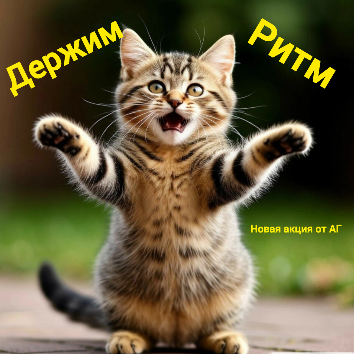 Иллюстрация автора