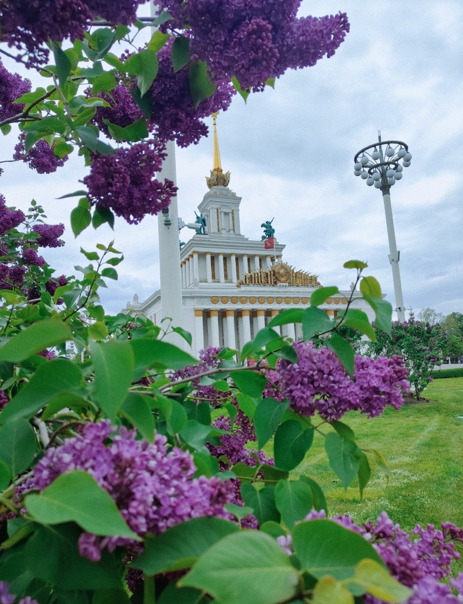 Любимая Москва, ВДНХ (фото автора)