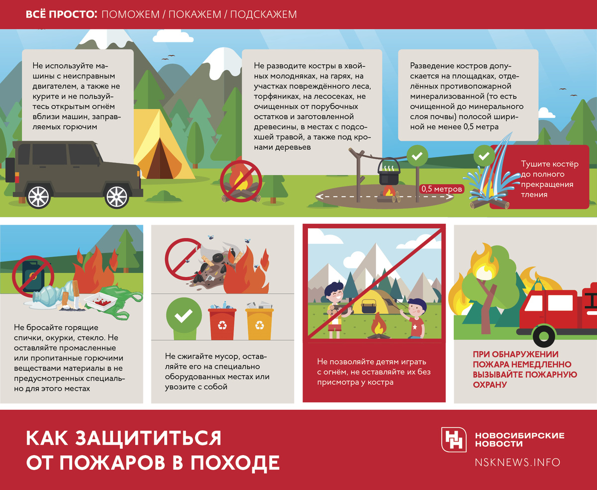    Инфографика: nsknews.info