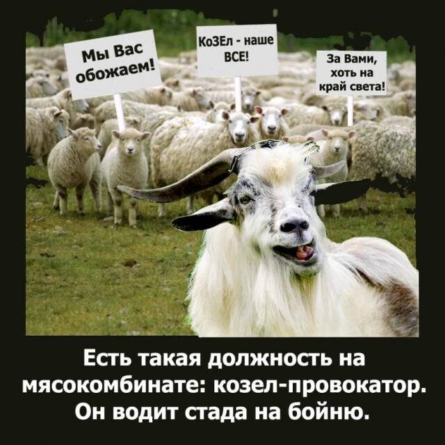Иллюстрация взята с https://topwar.ru/uploads/posts/2022-10/15744976.jpg