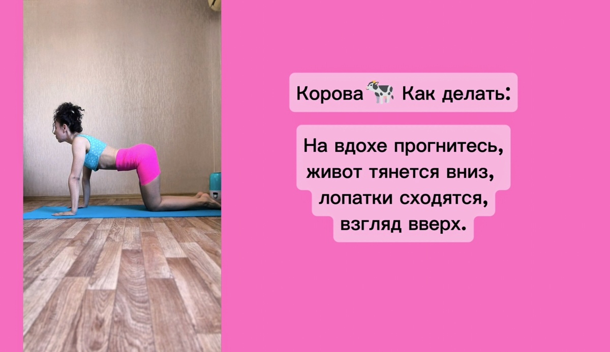 поза коровы техника