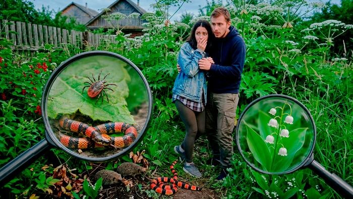 Какие растения и каких животных нельзя трогать на даче: опасные виды и правила безопасности на участке. Обложка © Gemini Nano Banana © GPTChat