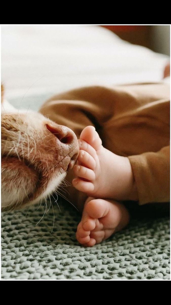 Источник фото Pinterest