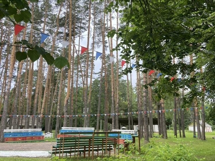     Фото: Влада Парфенова/ «МК Черноземье»
