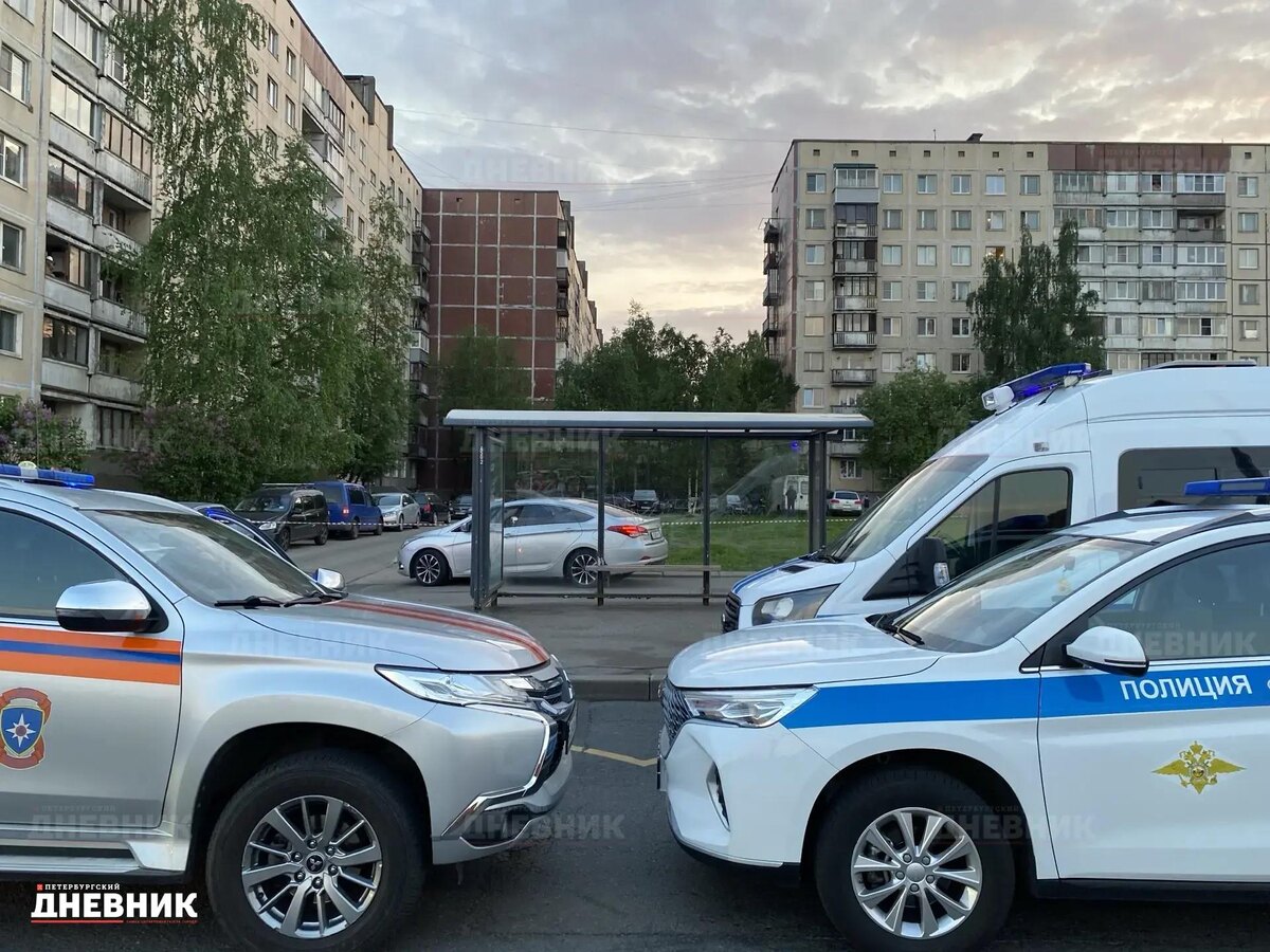 Фото: «Петербургский дневник»