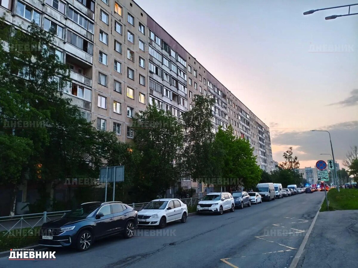 Фото: «Петербургский дневник»