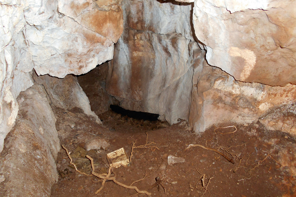 Пещера Hining Wood Bone Cave, где нашли захоронения