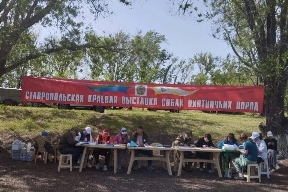    На выставку приедут владельцы из разных регионов страны. Фото: минприроды Ставрополья