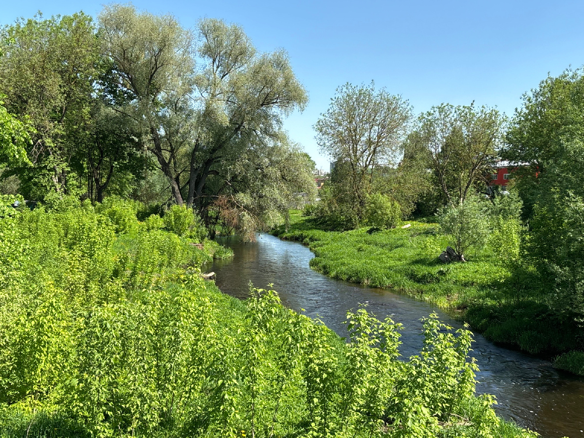река Вохонка