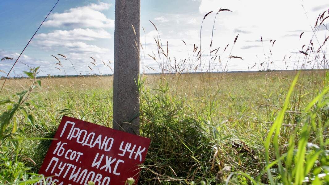    Фото: Legion-Media/PhotoXPress.ru/Денис Вышинский