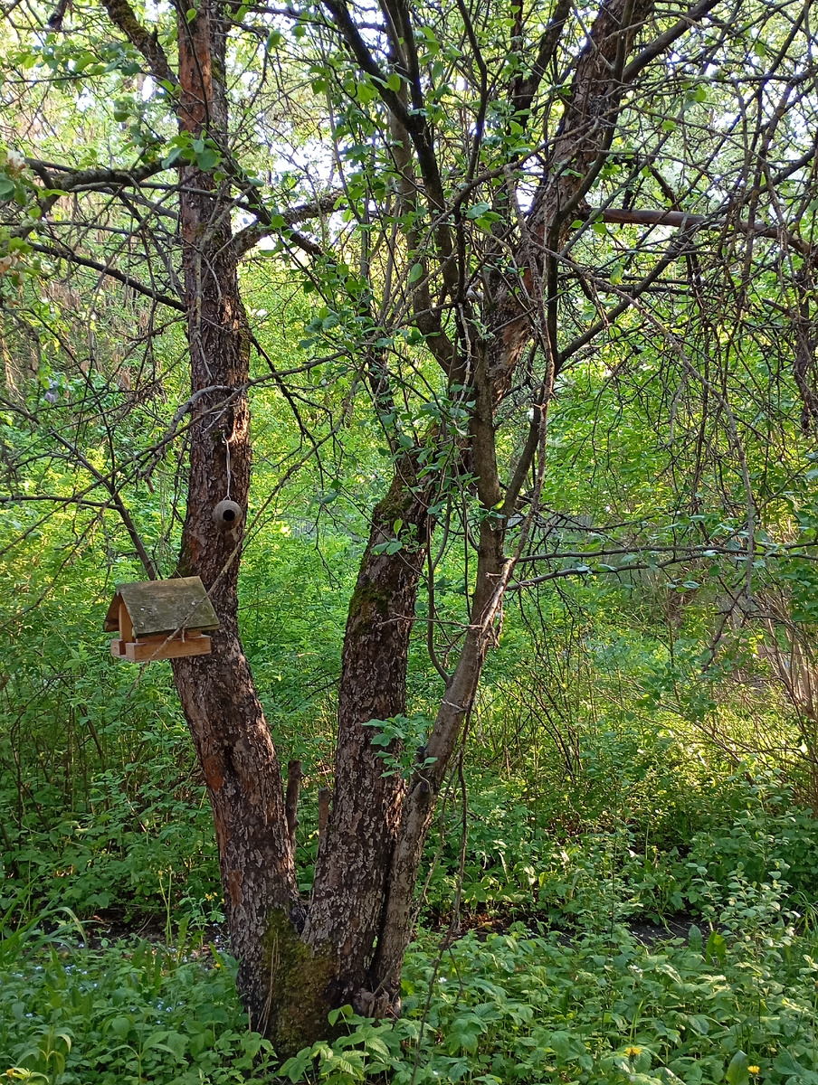 Фото сделано мною лично
