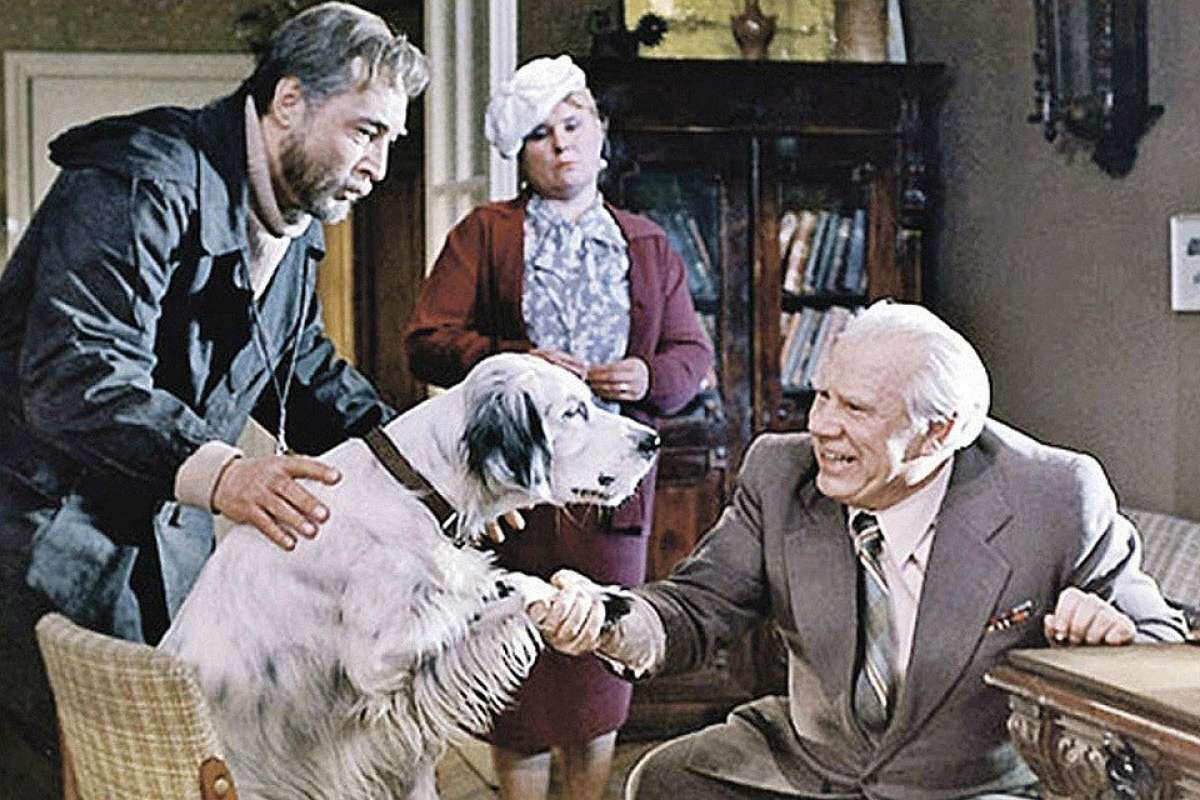 Кадр из фильма "Белый Бим Черное ухо" (1977)